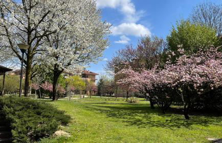 Pacy - Park City Home - Foto 14