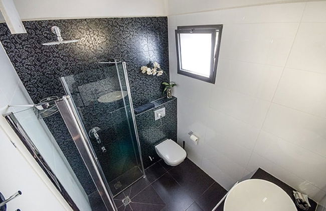 Black and White Holiday - Photo 7