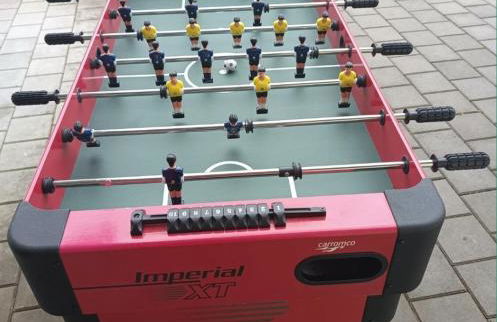 Ferienhof Broger FeWo Bergblickle mit Pool - Foto 47