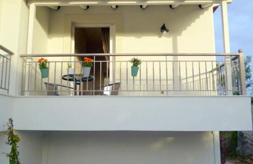 Ανεμώνη - Anemoni - Foto 15