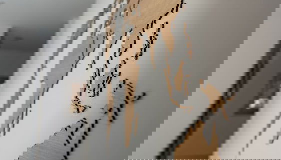 Apartamentos Puerta de Occidente - Foto 2, Lobby