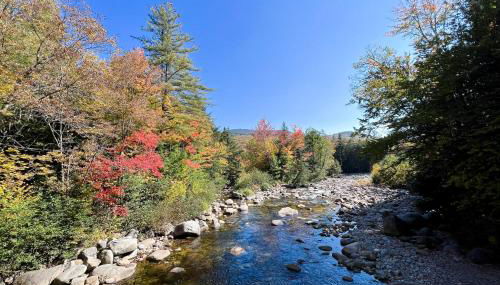 Moon River Lodge - Foto 3