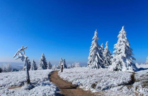 Terrace Retreat in Winterberg - Foto 28