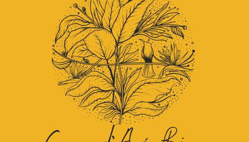 Casa D'Avó Bina Alojamento Local - Foto 3