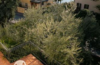 IseoLakeRental - Casa La Rondine - Photo 8