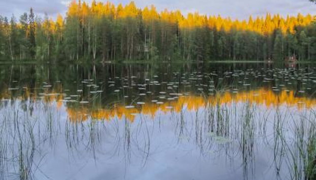 Aurinko - Foto 5, Inside other