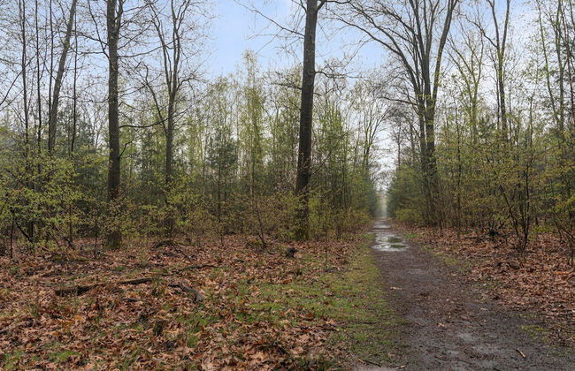 Beautiful Holiday Chalet in Emst With a Private Garden - Photo 35