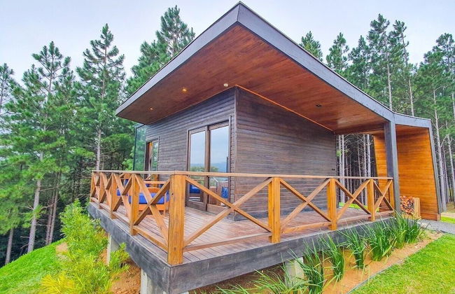 Pouso do Corvo - Grão-Pará - SC - Photo 75