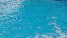 "Heaven on earth" with pool - Foto 4