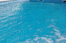 "Heaven on earth" with pool - Photo 4