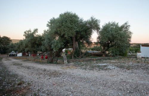 Herdade da Yucca - Retreat & Spa - Foto 71