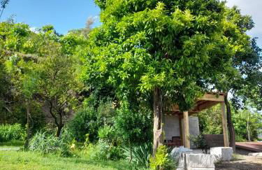 Abrigo do verao Maison près du lac - Foto 12