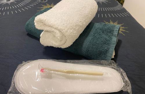 Maison climatisée Lyon-Bron Eurexpo - Stadium Groupama - Interdit aux événements - Foto 8