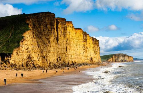 Luxury 2 Bed Woodland Cottage on Rewilding Estate - Foto 35