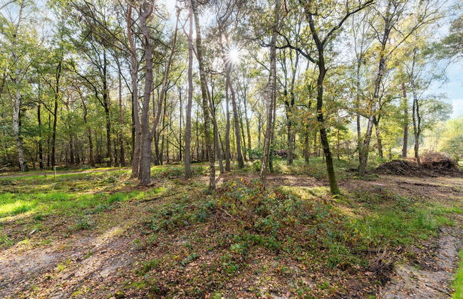 Vacation Home in Haarle Near Hellendoorn - Foto 35