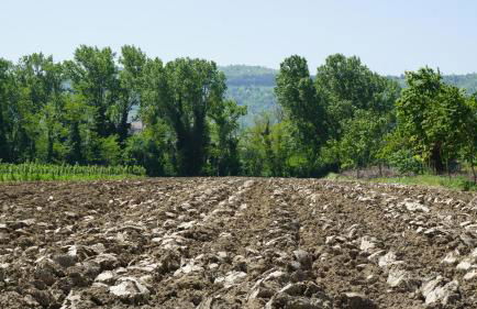 Fattoria Didattica Le Torte - Photo 17