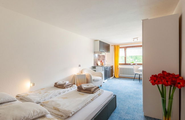 Dog-friendly Chalet in Bregenzerwald - Photo 6