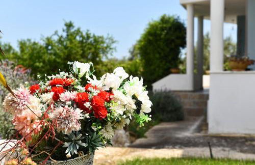 Beachfront Villa Samantha's Paradise - Photo 19