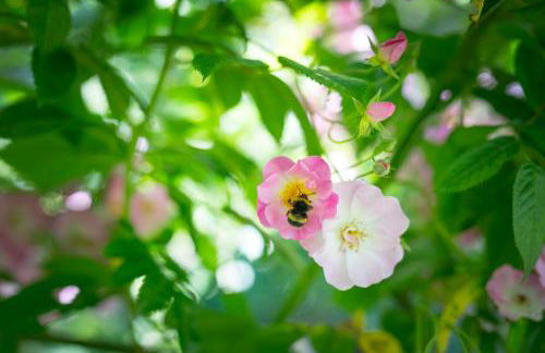 West Cottage, Southlands Farm, Gunnerton - Foto 16