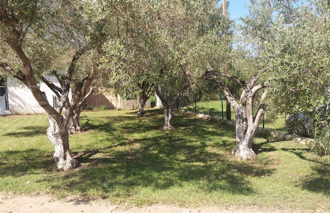 ''Mary's House'' Entire residence Olympiada Halkidiki Near to See 200m! - Foto 8