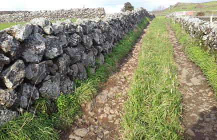 Quinta do Oeste - Photo 32