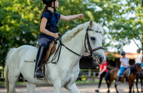 Ferienwohnungen Georgenbruch - Foto 124