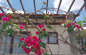 Chalé Mandacaru - Foto 23