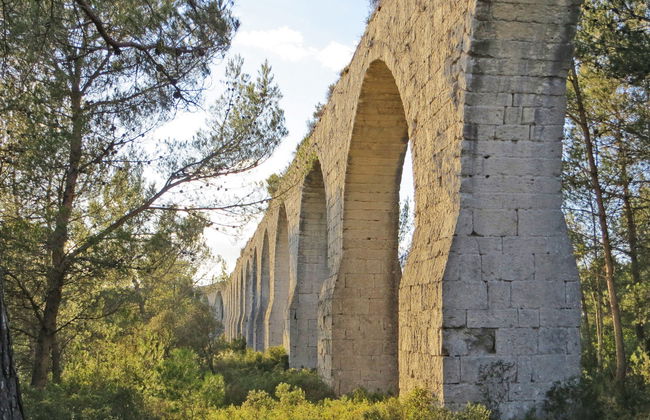 La pinède - Foto 20