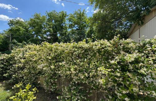 Casa in campagna a Rosciano - Foto 51