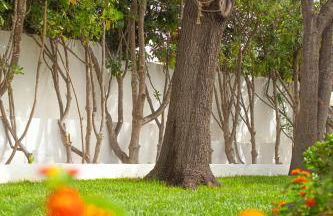 Casa Masini San Teodoro - Foto 33