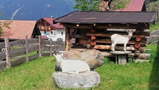 Servicios del alojamiento