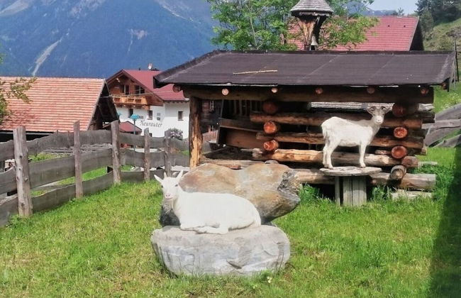 Talissa at Organic & Riding Stables of Veitenhof - Foto 5