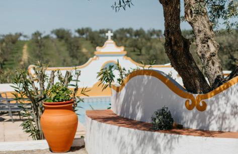 Monte dos Aroeirais - Foto 52