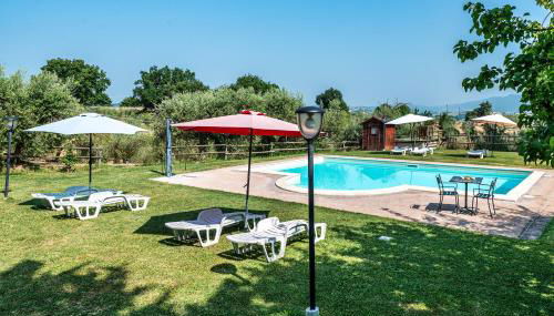 Tulipano - Agriturismo Fogliani - Foto 2