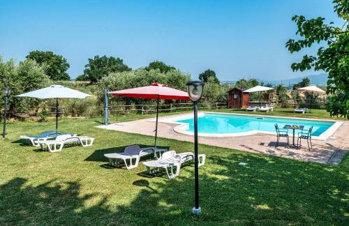 Tulipano - Agriturismo Fogliani - Foto 2