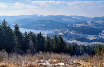 Vogelnescht19 - Foto 26