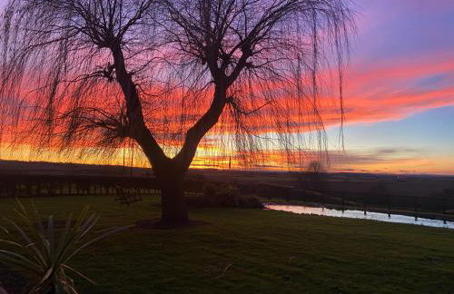 Danielle’s den - Foto 17