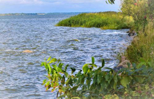 Bungalow am Sund - Foto 11