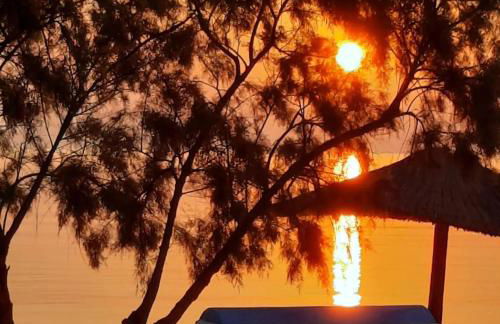 Ethel apartment - Foto 18