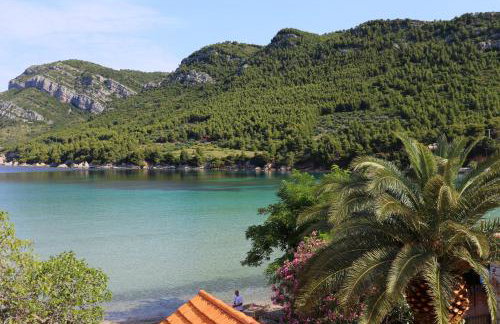 Apartments by the sea Zuljana, Peljesac - 10228 - Foto 16