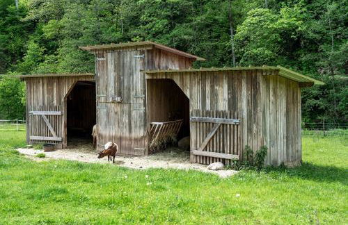 Appartement Im Hof, 36qm - Foto 18