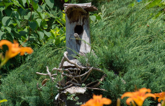 Villa Hofbauer - Foto 18