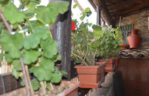 Apimonte Casa do Pascoal - PN Montesinho - Foto 35