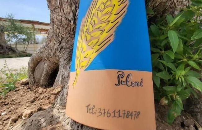 Tenuta Puloni - Foto 36