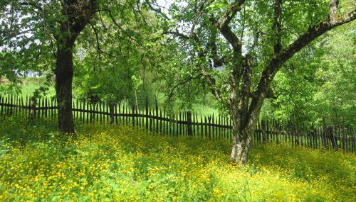 Cottage on Hill - Photo 3, Garden