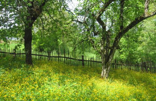 Cottage on Hill - Photo 3