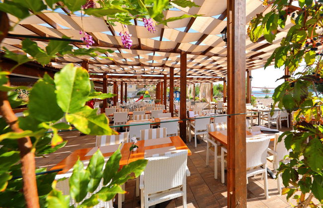 Vile Dalmacija - Foto 35