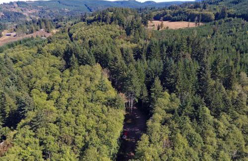 30 Peaceful Acres - Foto 9