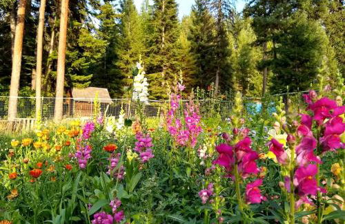 Sanctuary Farm Log Cabin Mountain Getaway, Alberton, MT - Foto 21
