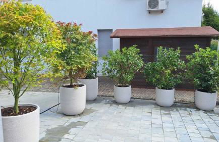 La Corte di Giovanna - Foto 30